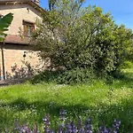 La Valle Dei Conti Cesena